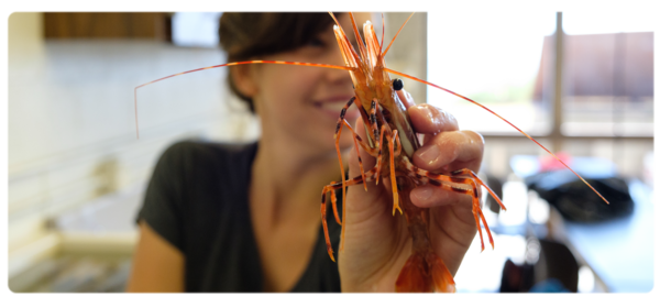 Smiling student holding up sea creature